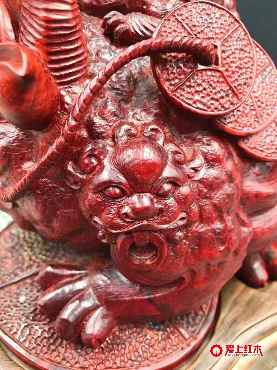 印度小叶紫檀金蟾 纯手工雕刻招财进宝-5