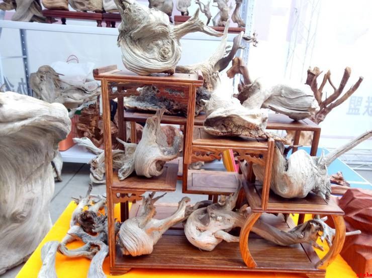 崖柏展会上大师云集 现场产品价值已过亿-1