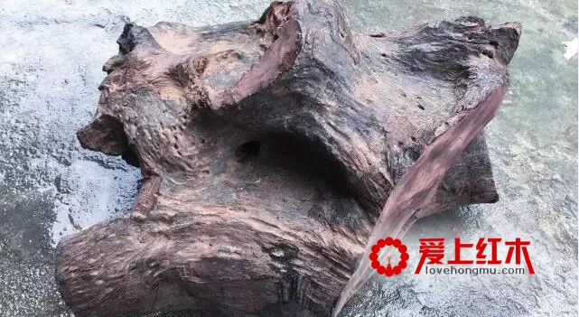 浅析海黄阴沉料！（纯干货)-2