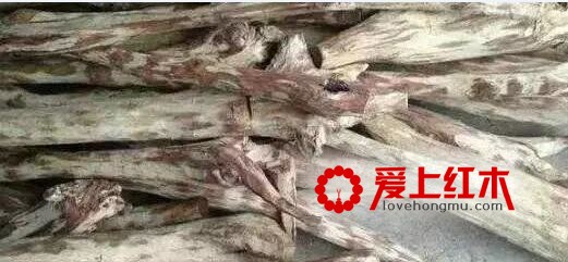 浅析海黄阴沉料！（纯干货)-6