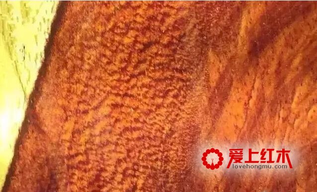 涨知识了！关于小叶紫檀龙鳞纹-4