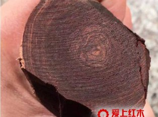 料质是黄花梨的重要品质