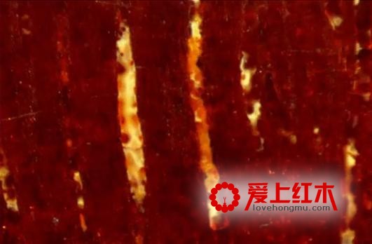 如何鉴别紫檀的真假金星，看这里-1
