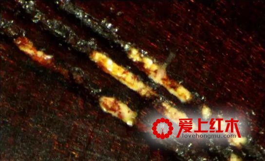 如何鉴别紫檀的真假金星，看这里-4