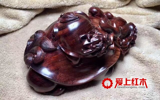 龙龟，寓意【荣归】，形态饱满，霸气侧漏！-5