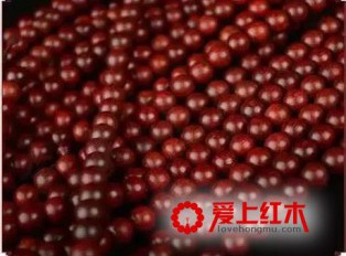 关于小叶紫檀，你不得不了解的几个问题