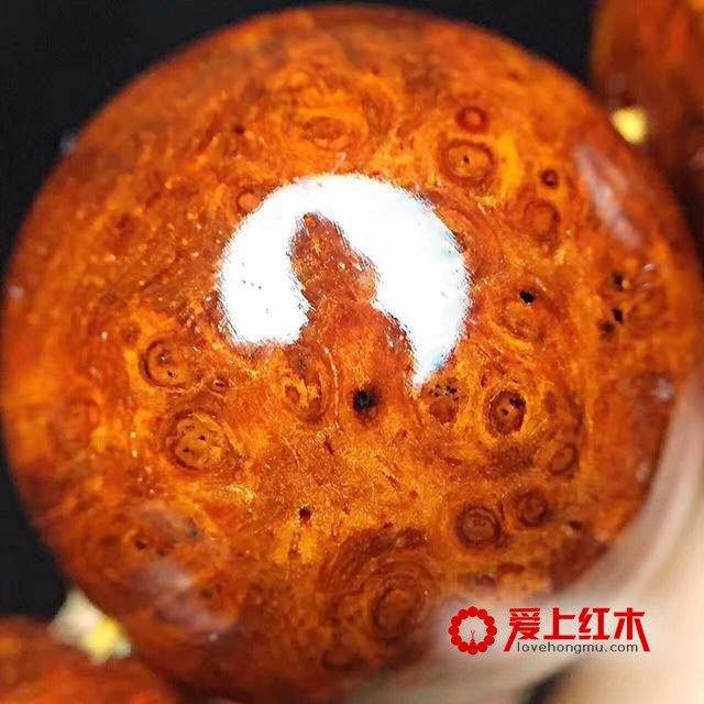龍戏名珠 紫檀 缨子满瘤疤动感十足！-7