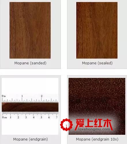 可乐豆木资料介绍 目前用量最大的红木替代用材-3
