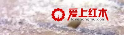 红木家具被虫蛀了怎么办？-5