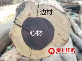 了解这些术语让你在购买红木家具时不易被忽悠