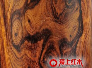 黄花梨怎么鉴别？10个要点让你辨别黄花梨真假