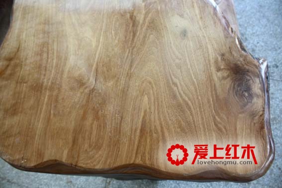 黑酸枝木类树种及构造特征