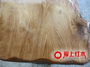 黑酸枝木类树种及构造特征