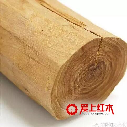 这些名贵木材不仅仅是能做家具还能治病-4