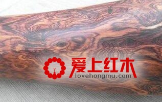 大叶黄花梨与海南黄花梨的区别-1