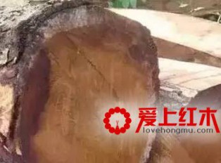 盘点红木市场上冒充缅甸花梨的9种木材【图】