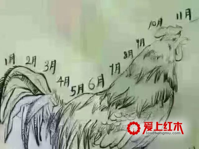 你知道吗，购买红木家具也要讲究时间-1