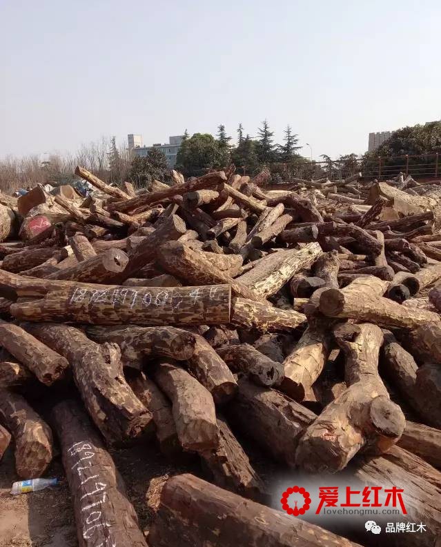 染料紫檀是什么？染料紫檀和小叶紫檀有什么区别-4