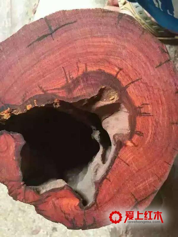 空心紫檀是怎么形成的？