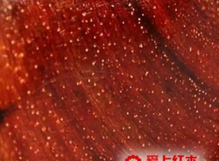 小叶紫檀金星、瘿子、牛毛纹、水波纹在各种切面的形态