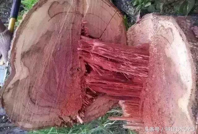 大红酸枝是最值得买的红木家具-7