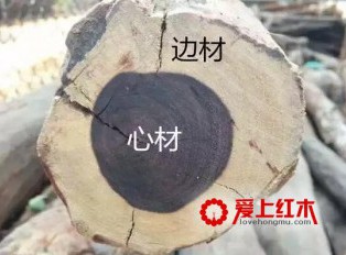 购买红木家具或红木工艺品必知的几个术语