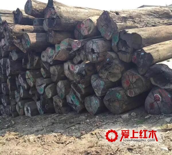 什么是金车花梨？金车花梨是红木吗？-2
