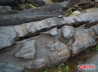 介绍阴沉木价格特点相关分析