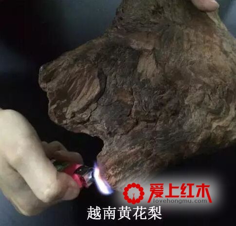 靠燃烧方法就能辨别海黄和越黄，是真的吗？-9