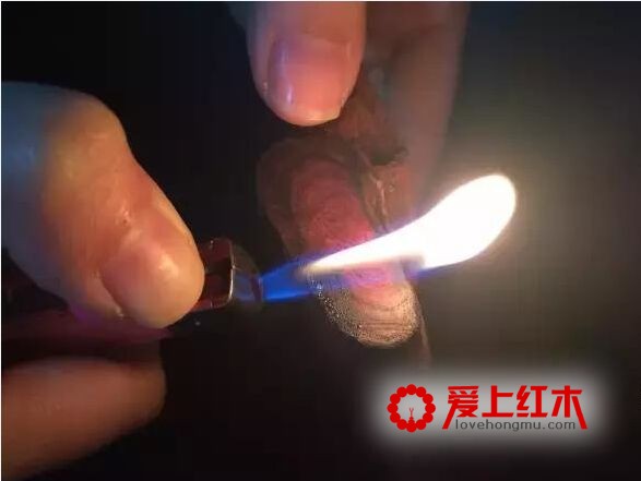 靠燃烧方法就能辨别海黄和越黄，是真的吗？-8