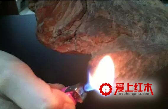 靠燃烧方法就能辨别海黄和越黄，是真的吗？-11