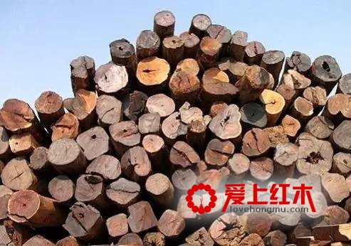 红木家具价格为什么会暴涨？影响红木家具价格的因素有哪些