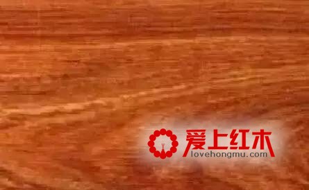 红木家族中十二个香味独特的家族成员介绍-6