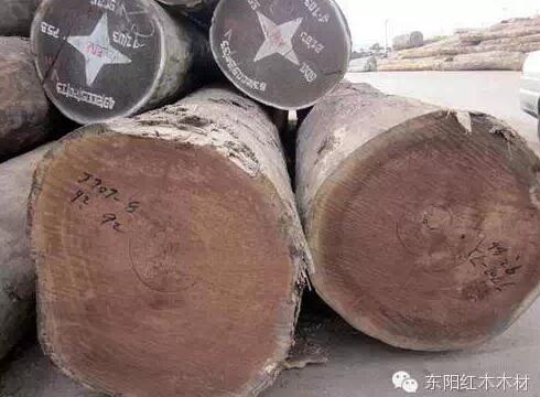 广西黄花梨是什么木材？广西黄花梨就是虎斑木吗-3