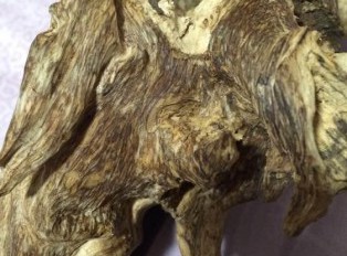 何谓沉香的黑油格和黄油格？