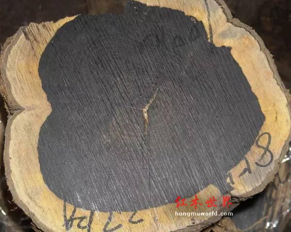 紫光檀为什么属于黑酸枝？本尊东非黑黄檀长这样-2