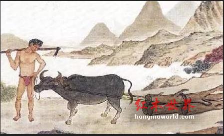 技艺和文化共同造就的红木文化鉴赏-1