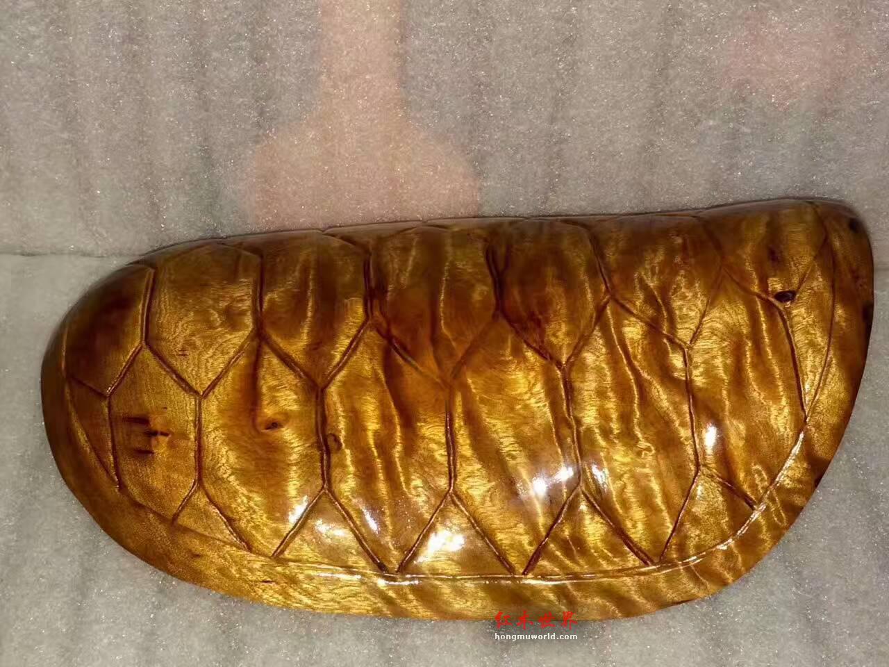 小叶桢楠枯木料打造龟甲《富甲天下》灵动通透-6