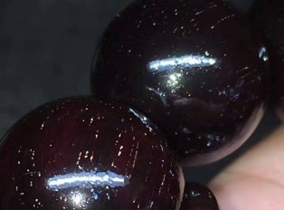 1.8小叶紫檀顶级泥料玻璃珠手串 细金星高油高密