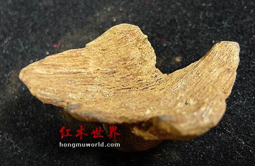 四种各具魅力的沉香结香-3