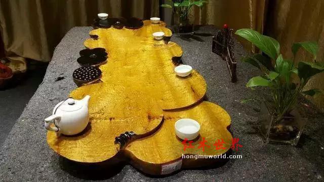 看这里，金丝楠最全介绍！（值得收藏）-1