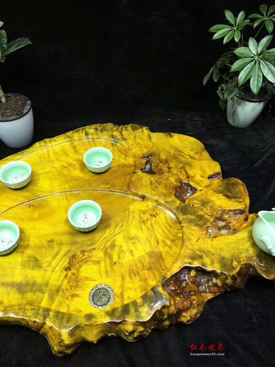 黄金樟天然随形茶盘 干净适中聚会喝茶好伴侣-1