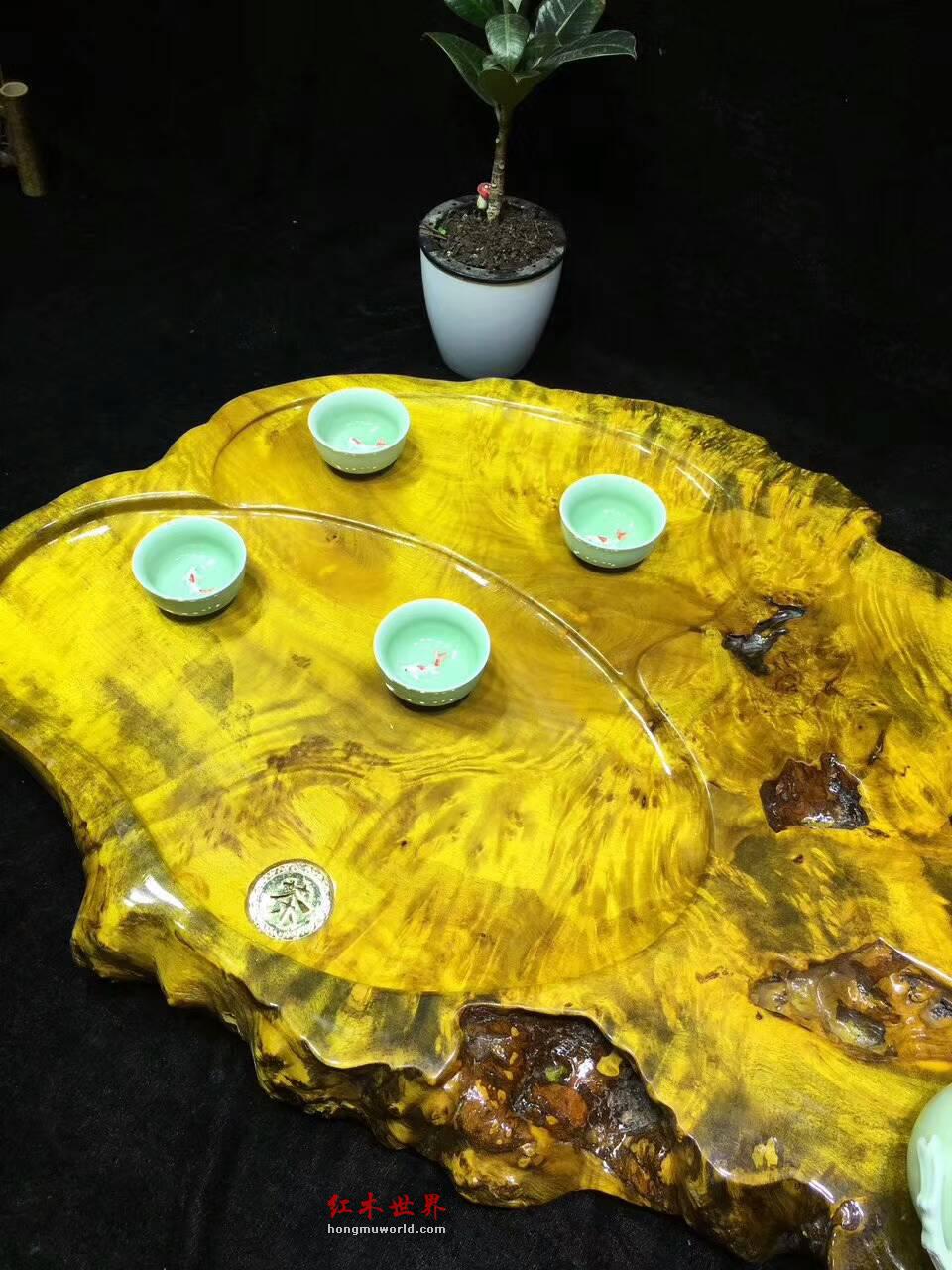 黄金樟天然随形茶盘 干净适中聚会喝茶好伴侣-2