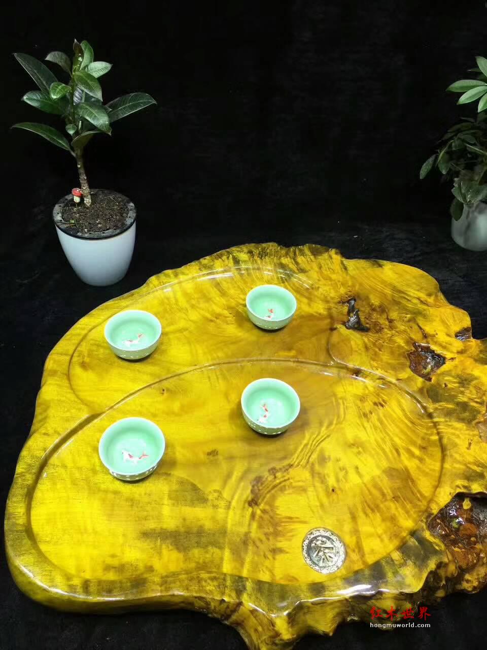 黄金樟天然随形茶盘 干净适中聚会喝茶好伴侣-5