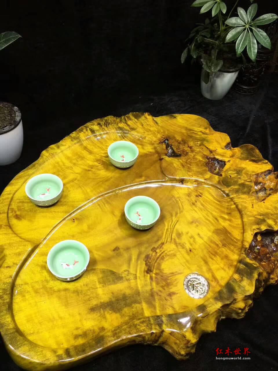黄金樟天然随形茶盘 干净适中聚会喝茶好伴侣-7
