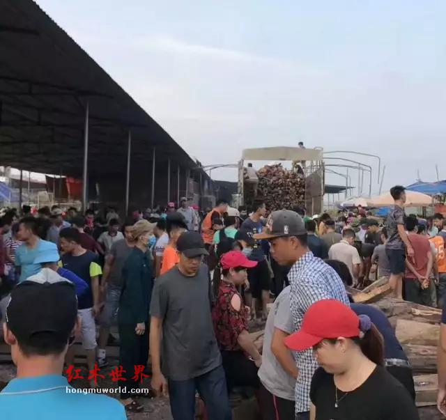 最近越南红木市场异常火爆，可以说红木家具和红木板料一个小时一个价-2