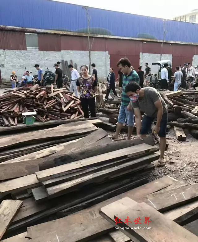 最近越南红木市场异常火爆，可以说红木家具和红木板料一个小时一个价-3