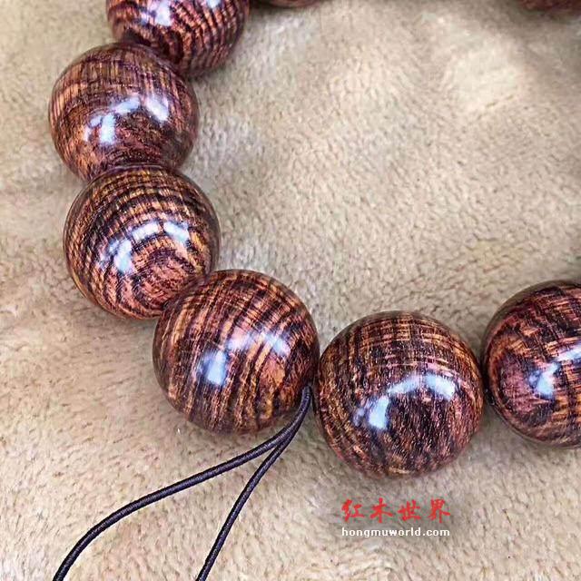 海黄和越黄的相同点这么多？新手要了解-2