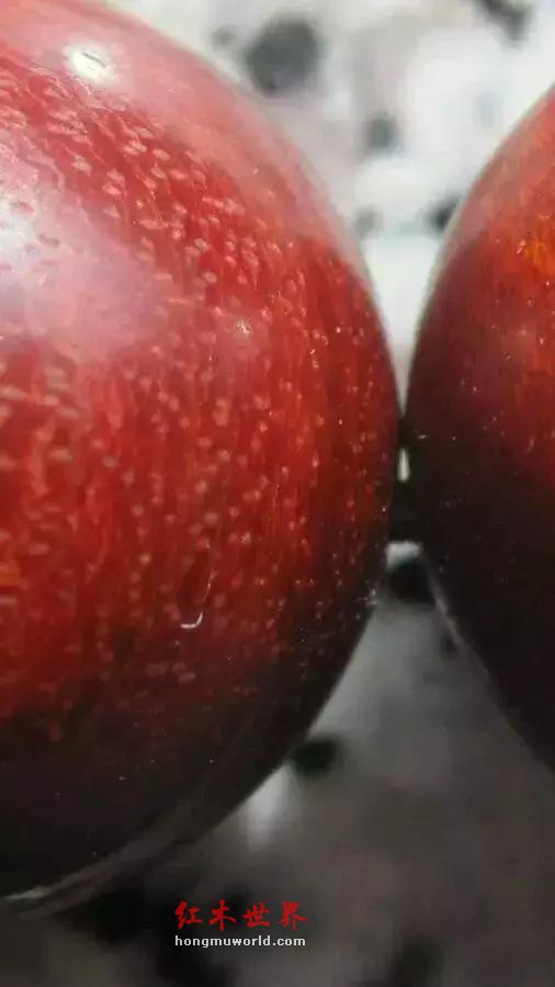 有效的鉴别紫檀和血檀的方法是什么？-13