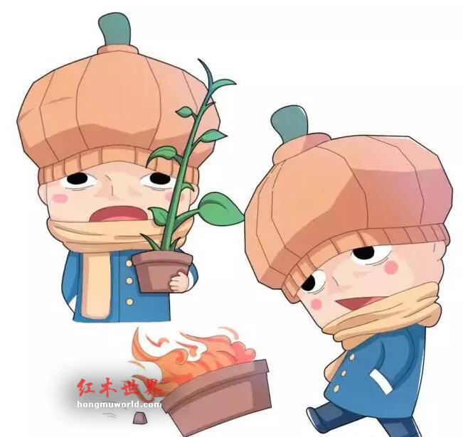 小叶紫檀手串冬季如何保养？看小编给你支招-3